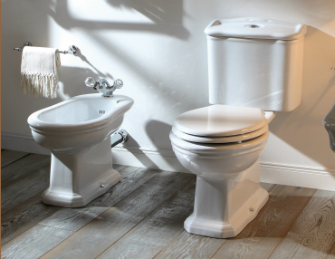 Bidet & Toilet